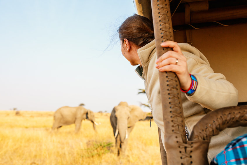 Safari au Kenya : guide sur le prix et les incontournables à voir !
