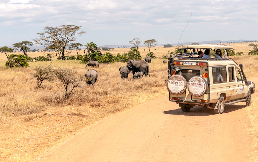 Les incontournables d’un safari au Kenya