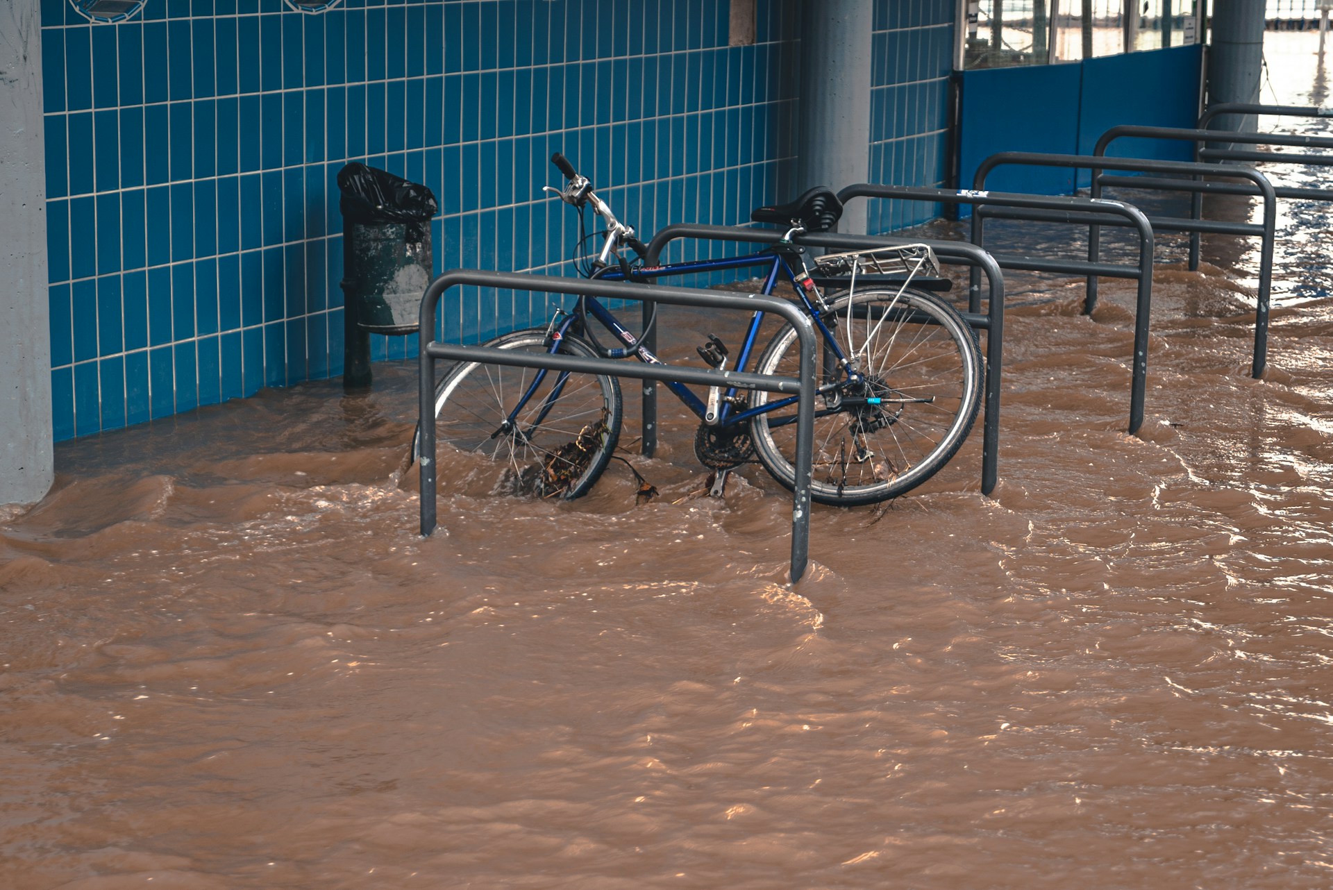 Illustration Les solutions naturelles contre les inondations : quand les villes redécouvrent la gestion écologique des eaux de pluie