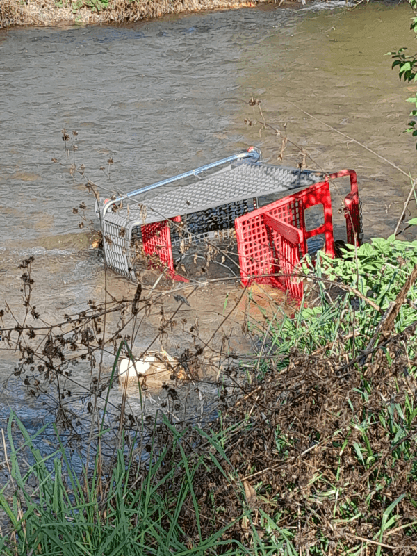 signalement à Bourgoin-Jallieu