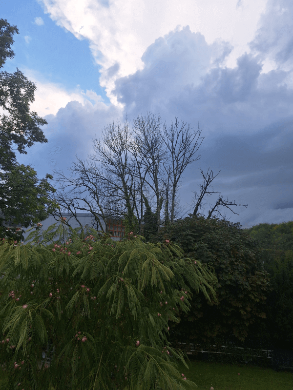 signalement à Ligny-en-Barrois