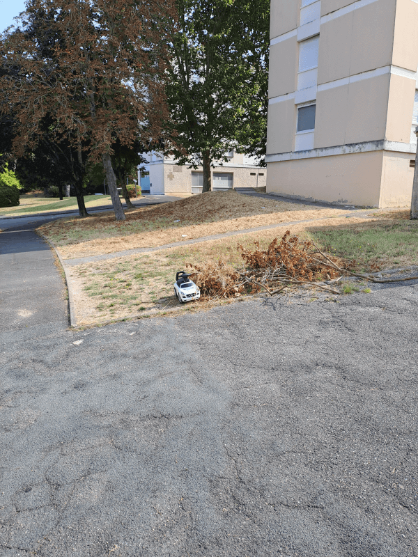 signalement à Lormont