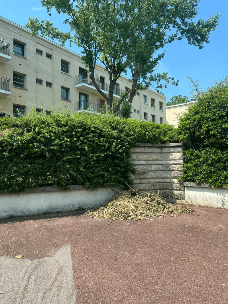 signalement à Maisons-Laffitte