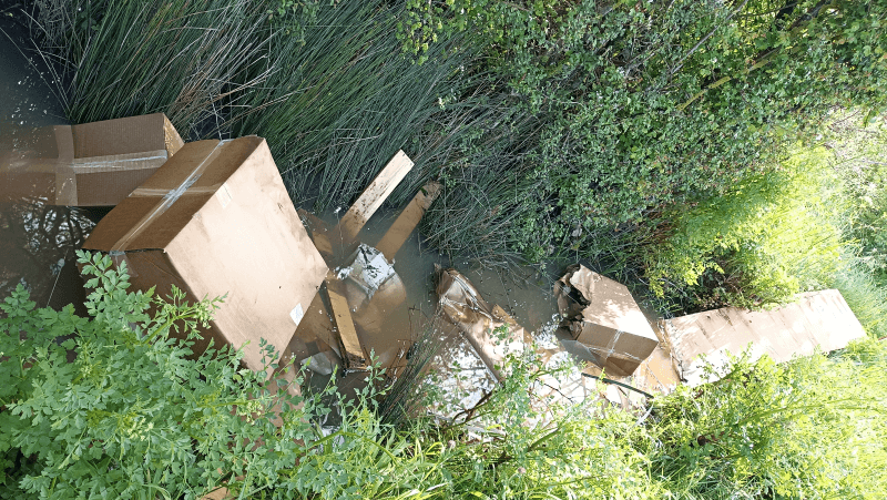 signalement à Mésanger