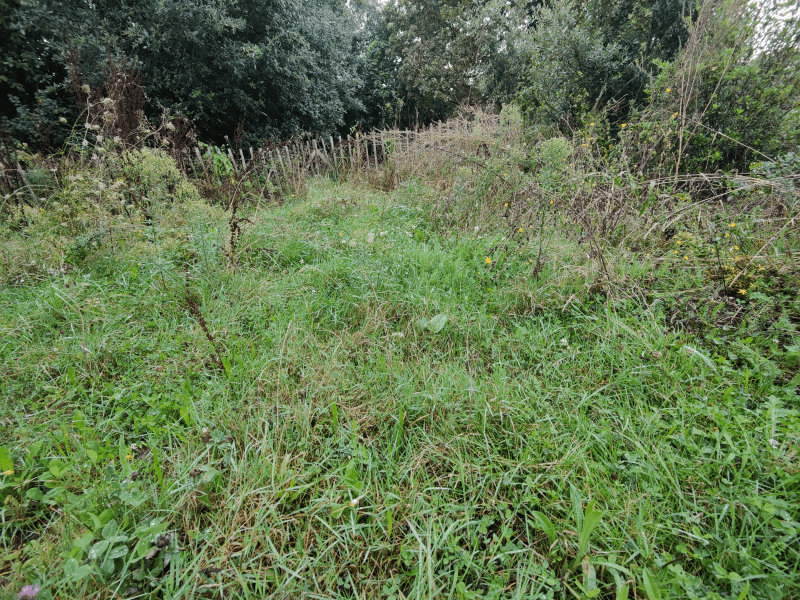 signalement à Pornic