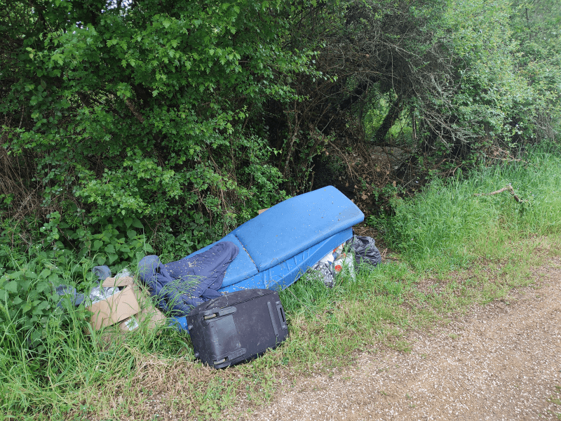 signalement à Saint-Avé