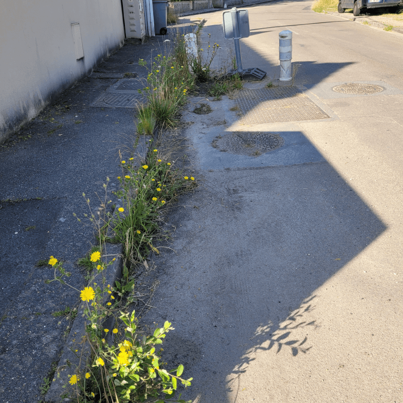 signalement à Saint-Fargeau-Ponthierry