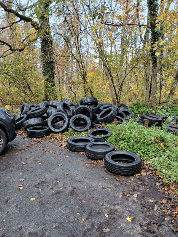 signalement à Saint-Germain-en-Laye